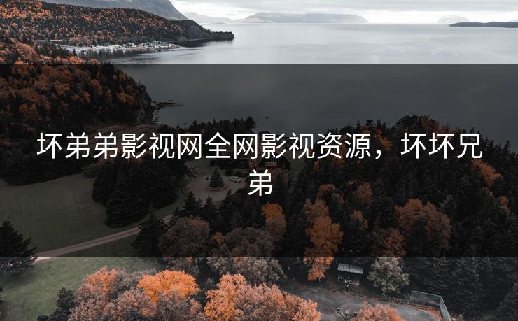 坏弟弟影视网全网影视资源，坏坏兄弟